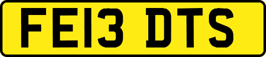 FE13DTS