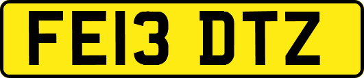 FE13DTZ