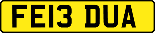 FE13DUA