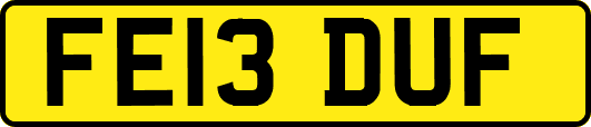 FE13DUF