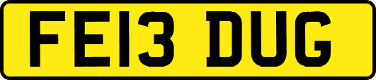 FE13DUG