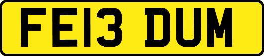 FE13DUM