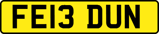 FE13DUN