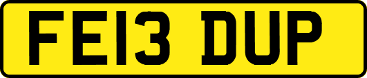 FE13DUP