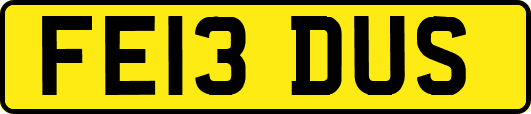 FE13DUS