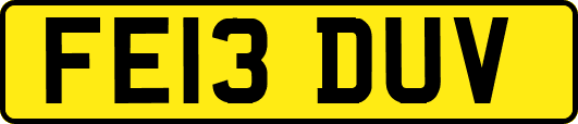 FE13DUV