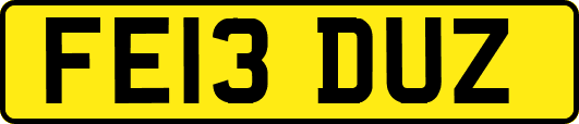 FE13DUZ