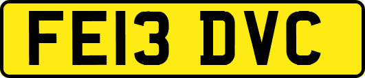 FE13DVC