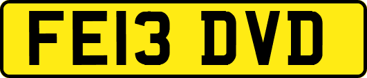 FE13DVD