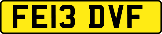 FE13DVF