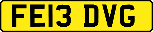 FE13DVG