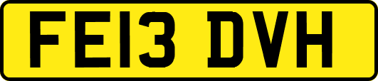 FE13DVH