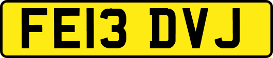 FE13DVJ