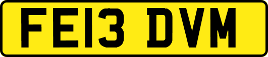 FE13DVM
