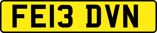FE13DVN