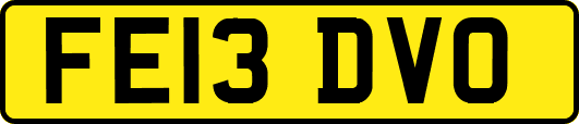 FE13DVO