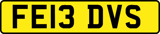 FE13DVS