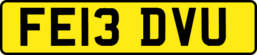 FE13DVU