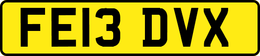 FE13DVX