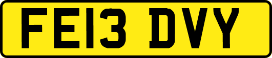 FE13DVY