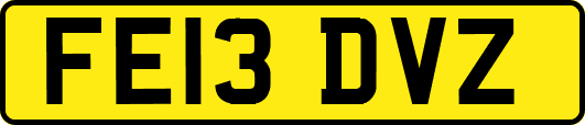 FE13DVZ