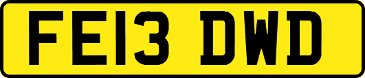FE13DWD