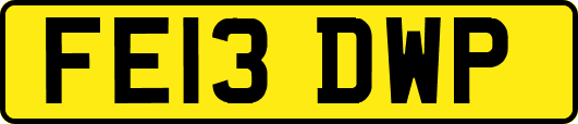 FE13DWP