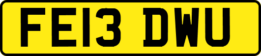 FE13DWU