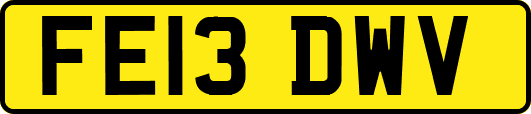 FE13DWV