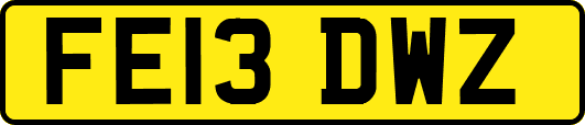 FE13DWZ
