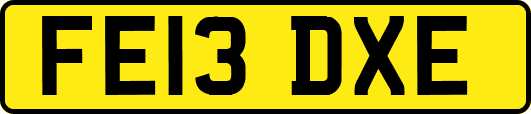 FE13DXE