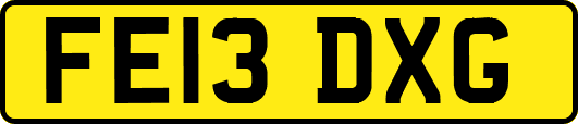 FE13DXG