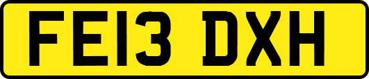 FE13DXH