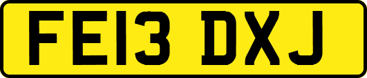 FE13DXJ