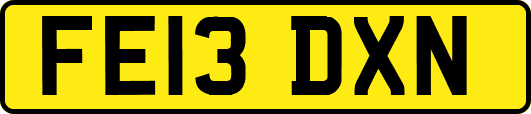FE13DXN