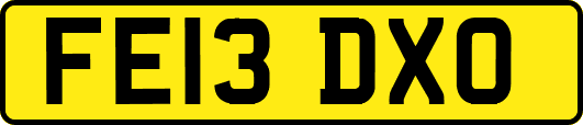 FE13DXO