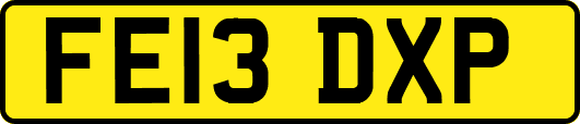 FE13DXP