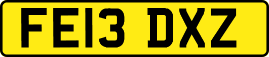 FE13DXZ