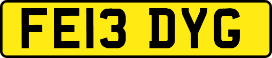 FE13DYG