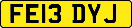FE13DYJ
