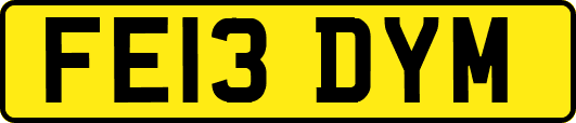 FE13DYM