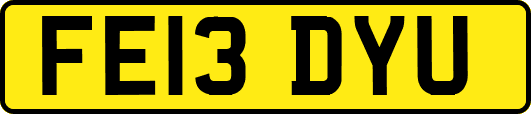 FE13DYU