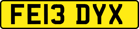 FE13DYX