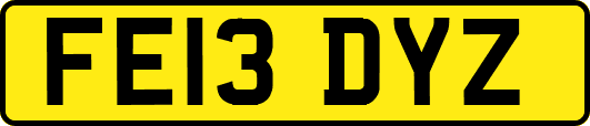 FE13DYZ