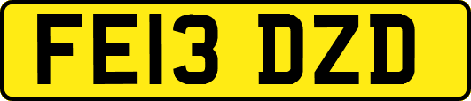 FE13DZD