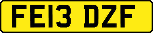 FE13DZF