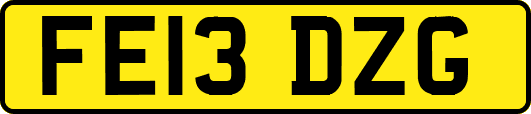 FE13DZG