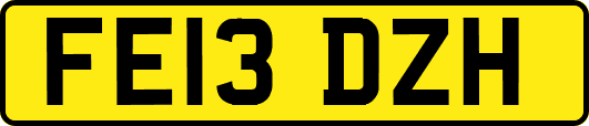 FE13DZH