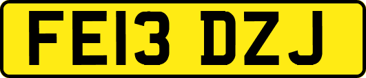 FE13DZJ