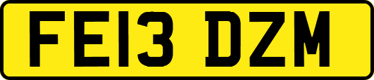 FE13DZM